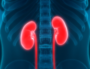 Cintilografia Renal DTPA com IECA